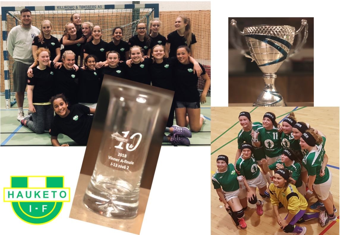 Jenter 13 håndball